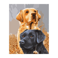 Картина для малювання за номерами Стратег Два лабрадора 50х40см (VA-3038)