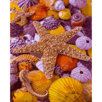 Картина-розмальовка за номерами Strateg Скарби морського дна 40х50 (GS425)