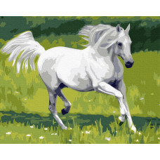 Картина для малювання за номерами Brushme Білий скакун 40х50см (G369)