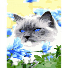 Картина для малювання за номерами Strateg Синьооке чудо 30х40 (SS-6513)