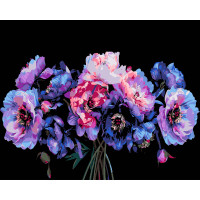 Картина для малювання за номерами Strateg Магія в кольорі на чорному фоні 40х50 (AH1158)