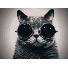 Розписна картина за номерами на полотні Art Craft Кіт Морфеус 40х50 (11607-AC)