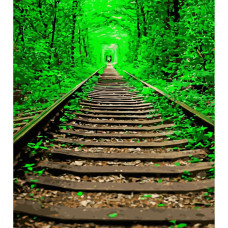 Картина для малювання за номерами Стратег Тунель кохання 40х50 (SY6556)