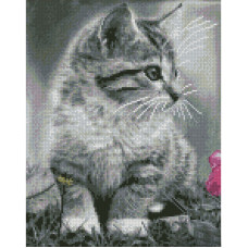 Картина за номерами Strateg з алмазною мозаїкою Сіре кошеня 30x40 (KB002)