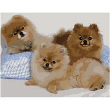 Картина для малювання за номерами Стратег Три шпіца 40х50см (VA-0513)