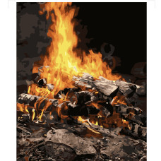 Картина для малювання за номерами Стратег Вогонь 40х50см (VA-3124)