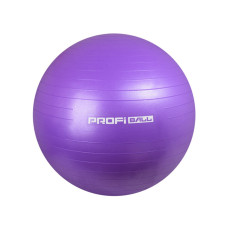 М'яч гімнастичний Profi Ball фітбол гумовий d-65 см фіолетовий (M0276VL)