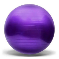 М'яч гімнастичний фітбол гумовий d-50 см фіолетовий (B5560VL)