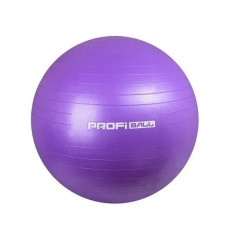 М'яч гімнастичний Profi Ball фітбол гумовий d-75 см фіолетовий (M0277-1VL)
