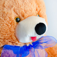 М'яка іграшка Попелюшка Ведмідь Топтигин маленький 47см коричневий (ZL4361)