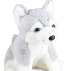 М'яка іграшка Попелюшка Собака Хаскі 25см (ZL264)