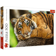 Пазли Trefl Портрет тигра 500шт. (37397)