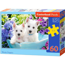 Пазли Castorland Цуценята Вест-тер'єра 60 ел (B-066100)