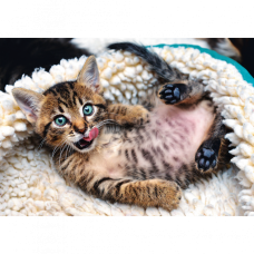 Пазли Trefl Веселе кошеня 1000шт. (10448)