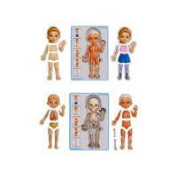 Пазл-вкладиш UBumblebees Анатомія людини - Дівчинка (ПСФ025)