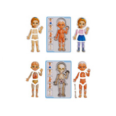 Пазл-вкладиш UBumblebees Анатомія людини - Дівчинка (ПСФ025)