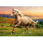 Пазли Trefl Галопом на заході сонця 500шт. (37396)