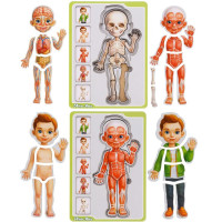 Пазл-вкладиш UBumblebees Анатомія людини - Хлопчик (ПСФ026)