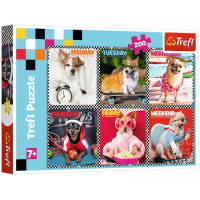 Пазли Trefl Веселі собачки 200 шт. (13279)