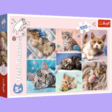 Пазли Trefl У світі котів 100 шт. (16420)