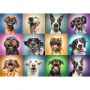 Пазли Trefl Смішні портрети собак 1000шт. (10462)