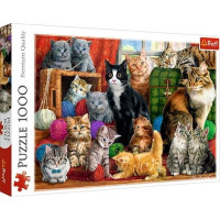 Пазли Trefl Зустріч котиків 1000шт. (10555)