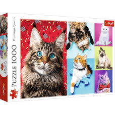 Пазли Trefl Щасливі котики 1000шт. (10591)