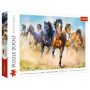 Пазли Trefl Стадо коней 2000шт. (27098)