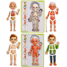 Пазл-вкладиш UBumblebees Анатомія людини - Хлопчик (ПСФ026)