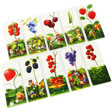 Пазли Puzzlika Гноми і ягоди 1 20 елементів (13548)