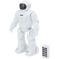 Інтерактивний робот на дистанційному жестовому керуванні (J1062A)