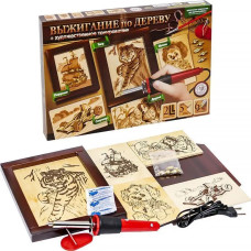 Набір для творчості Danko Toys Випалювання по дереву (WD-01-01)