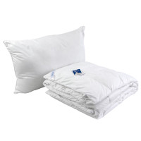 Ковдра+подушка зі штучного лебединого пуху