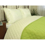 Покривало 220х240 мікрофайбер "Астурія" молочно-салатове