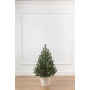 Штучна ялинка Віденська Європейська лита в горщику 0.7м зелена (YLVG07MZ)