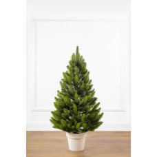 Штучна ялинка Лапландська лита в горщику 0.7м весняна (YLLPG07MV)