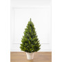 Штучна ялинка Лапландська лита в горщику 0.7м весняна (YLLPG07MV)