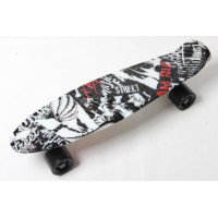 Пеніборд Penny Board Print Street board (PR10)