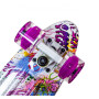 Пеніборд Penny Board FISH GRAFFITY з підсвідкою коліс (PFO011)