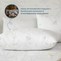 Подушка "NATURE" BAMBOO зіп-пакет, 70x70