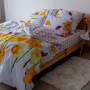 Постільна білизна ТЕП "Soft dreams" Нарцис, 70x70, євро