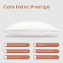 Подушка COTE BLANC "PRESTIGE", 50x70