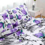 Постільна білизна ТЕП "RANFORCE" ALEXIA LILA Флоріан, полуторна