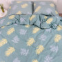 Комплект постільної білизни ТЕП "Happy Sleep" Ash Garden, євро
